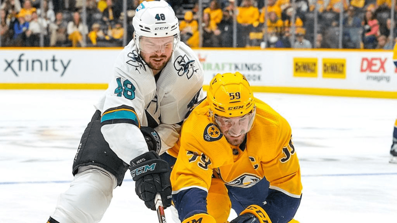 Tomas Hertl Roman Josi