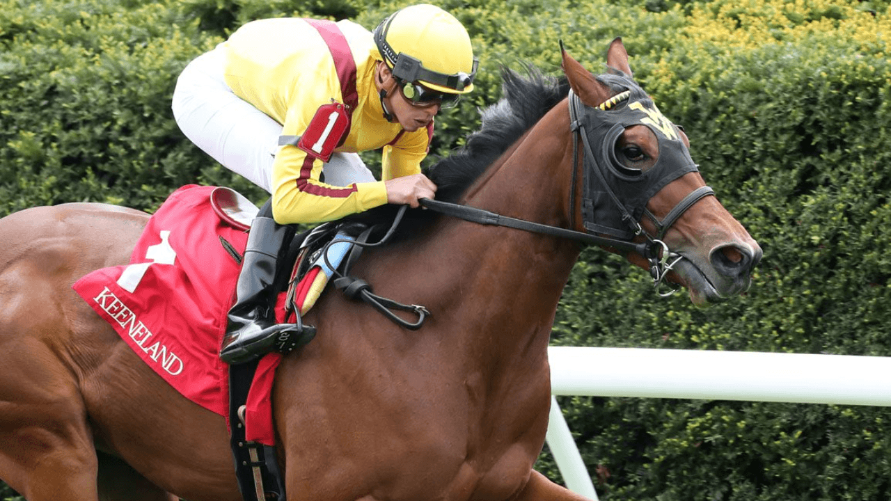 breeder's cup friday.png
