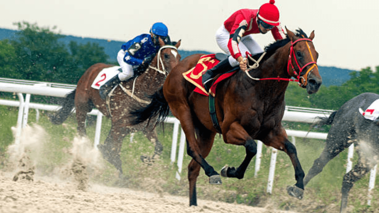 horse racing.png