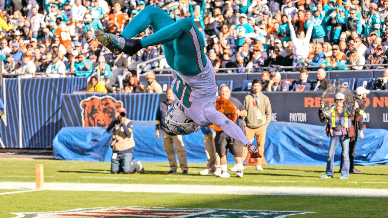 dolphins flip.png